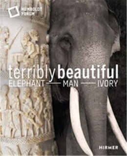 Front cover_Terrible Beauty