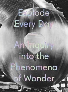 Front cover_Explode Every Day