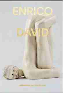Enrico David: Gradations Of Slow Release de Michael Darling