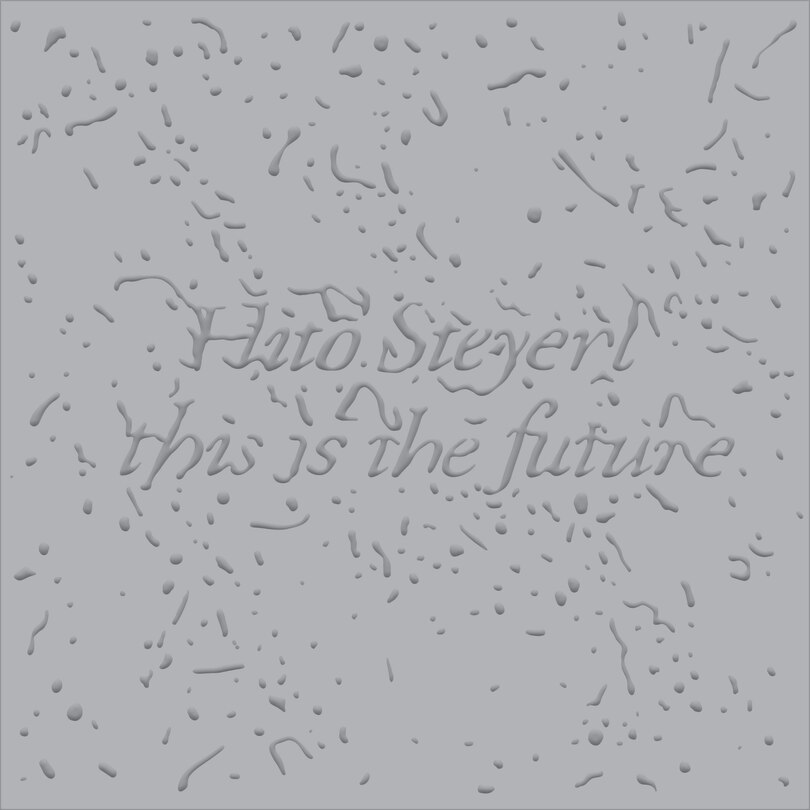 Front cover_Hito Steyerl