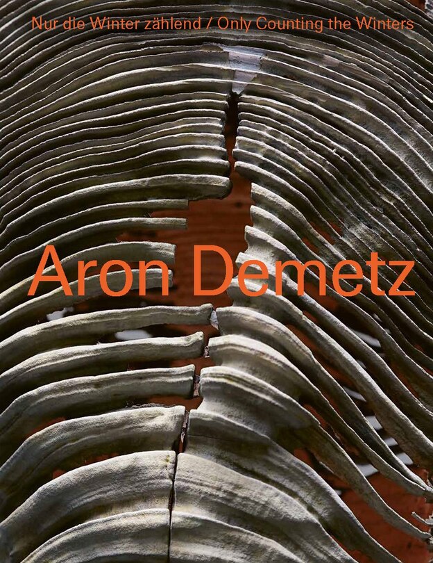 Front cover_Aron Demetz