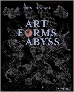Front cover_Art Forms From The Abyss