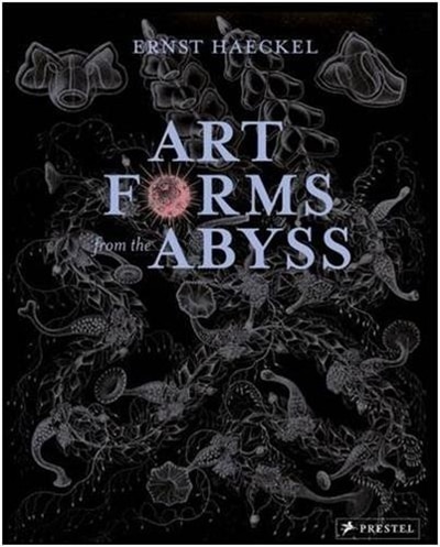 Front cover_Art Forms From The Abyss