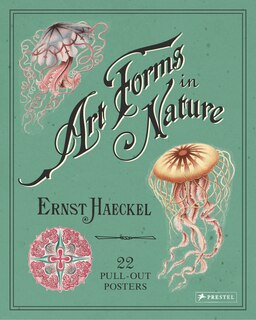 Front cover_Art Forms In Nature