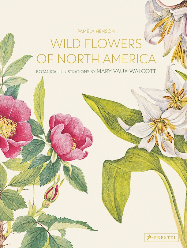 Front cover_Wild Flowers Of North America