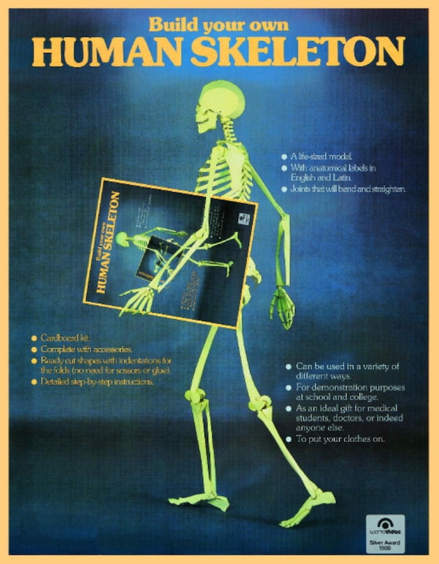 Front cover_Human Skeleton