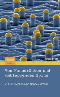 Von Nanodrahten Und Umklappenden Spins: Zukunftstechnologie Nanoelektronik