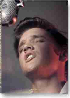 Alfred Wertheimer: Elvis And The Birth Of Rock And Roll de Chris Murray