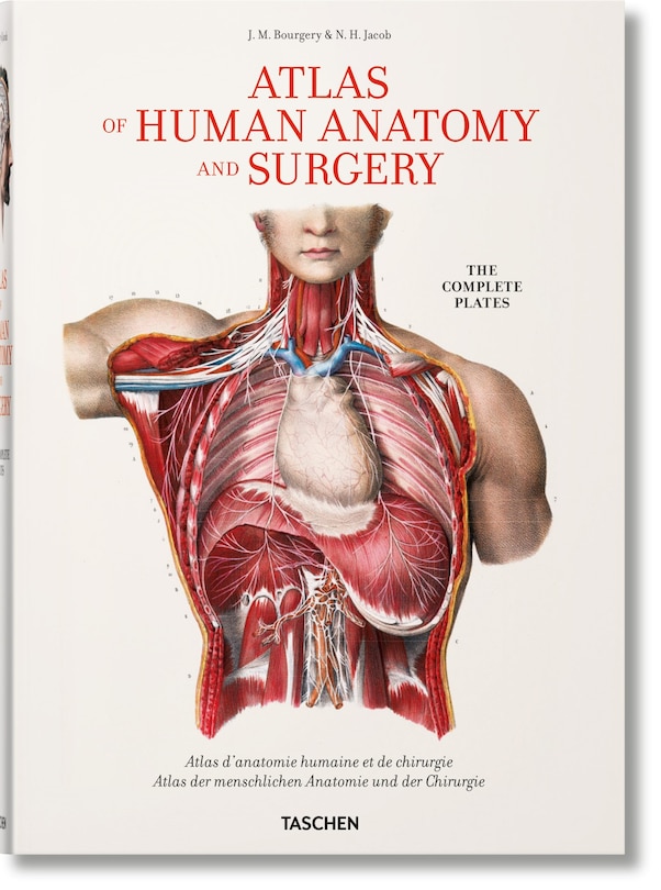 Front cover_Bourgery. Atlas Of Human Anatomy And Surgery