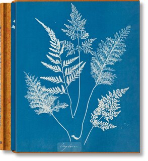 Front cover_Anna Atkins. Cyanotypes