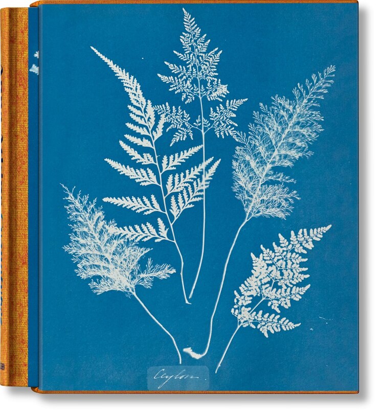 Front cover_Anna Atkins. Cyanotypes
