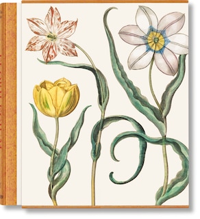 Front cover_Basilius Besler. The Garden at Eichstätt