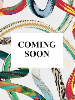 Front cover_Marvel Comics Library. Spider-Man. 1962&ndash;1964