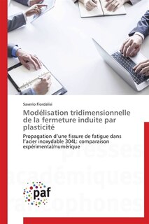 Couverture_Modélisation tridimensionnelle de la fermeture induite par plasticité