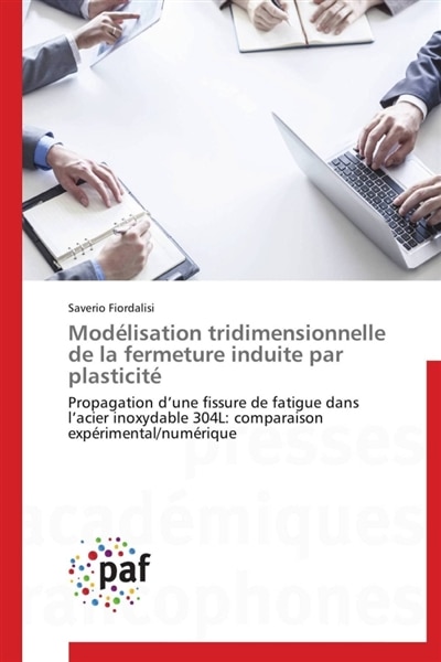 Couverture_Modélisation tridimensionnelle de la fermeture induite par plasticité