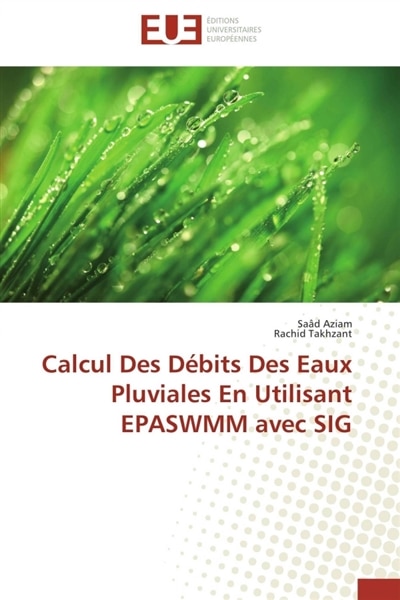 Couverture_Calcul des d&eacute;bits des eaux pluviales en utilisant epaswmm avec sig