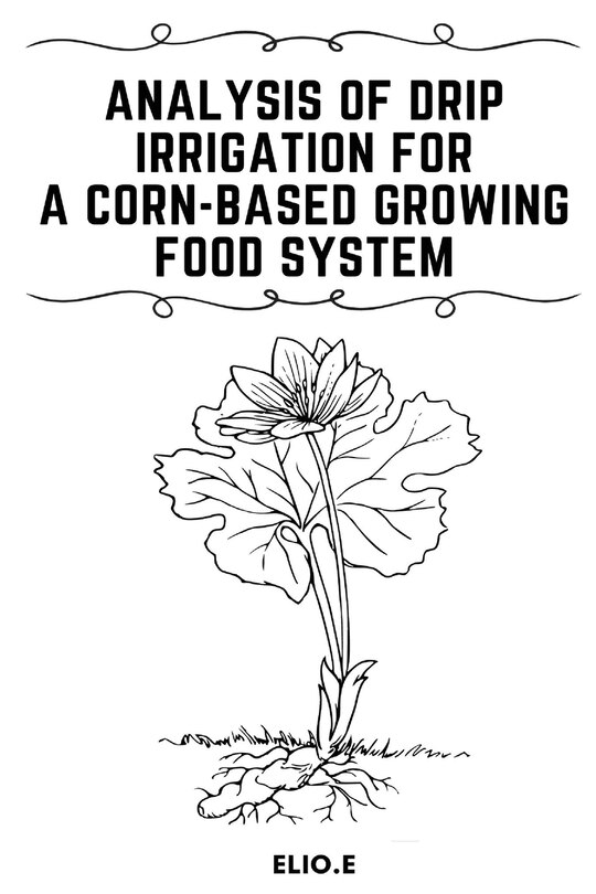 Couverture_Analysis of Drip Irrigation for a Corn-Based Growing food System