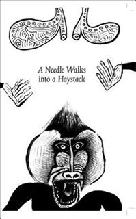 Couverture_A Needle Walks into a Haystack