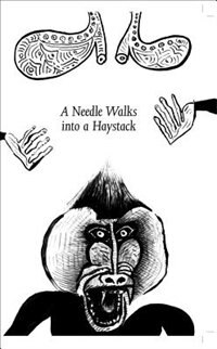 Couverture_A Needle Walks into a Haystack