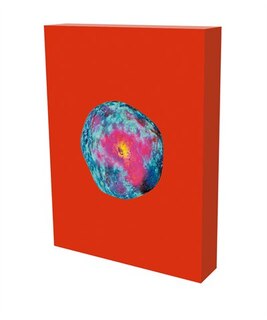 Front cover_Pipilotti Rist: Your Salvia Is My Diving Suit In The Ocean Of Pain