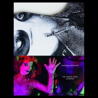 Couverture_Monster Chetwynd. The Trompe L’Oeil Cleavage