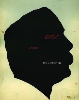 Front cover_John Gossage: Looking Up Ben James, A Fable