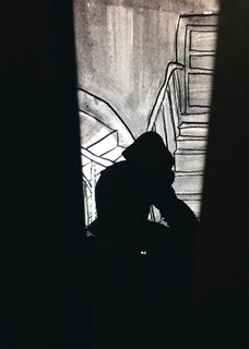 Front cover_Zilla Leutenegger: Zillagorilla