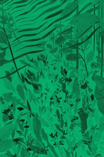 Front cover_David Eisl: Green Screen Weeds And Dreaming Grids