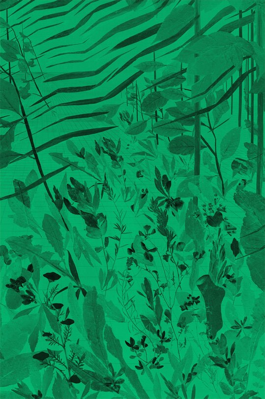 Front cover_David Eisl: Green Screen Weeds And Dreaming Grids