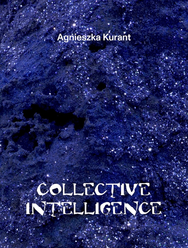 Front cover_Agnieszka Kurant Collective Intelligence