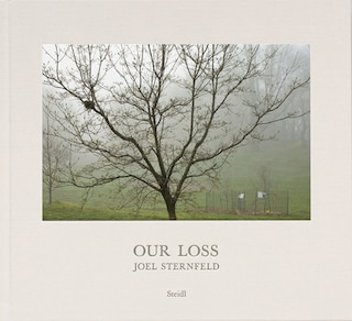 Front cover_Joel Sternfeld: Our Loss