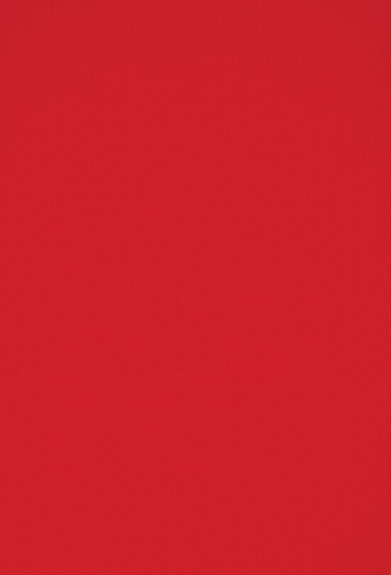 Couverture_Silvia Rosi: Protektorat
