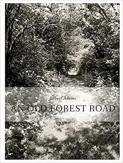 Front cover_Robert Adams: An Old Forest Road