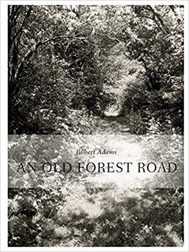 Front cover_Robert Adams: An Old Forest Road