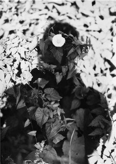 Front cover_Jochen Lempert: Relaci�n