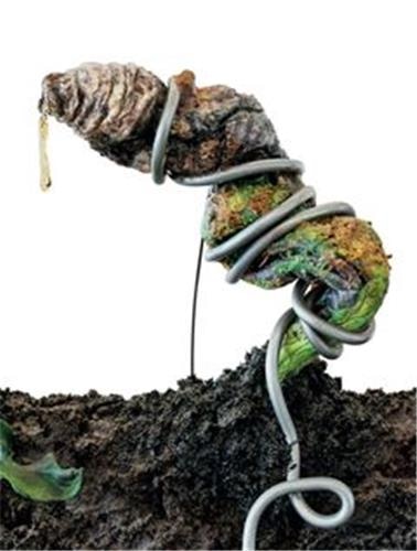 Couverture_Tetsumi Kudo: Retrospective