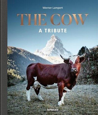 Front cover_The Cow