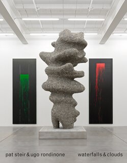 Front cover_Pat Steir & Ugo Rondinone