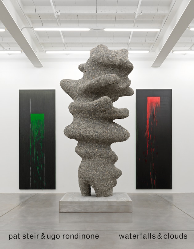 Front cover_Pat Steir & Ugo Rondinone
