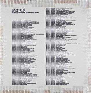 Couverture_Yang Li and Antoine d'Agata: Too Much But Not Enough