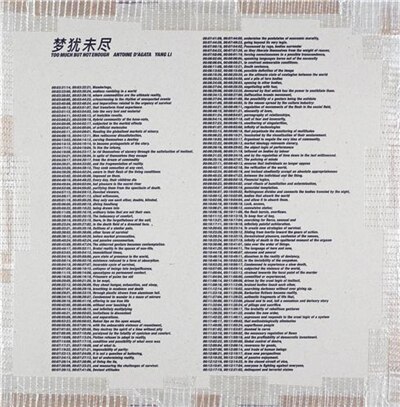Couverture_Yang Li and Antoine d'Agata: Too Much But Not Enough