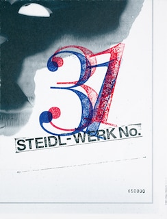 Couverture_Theseus Chan: Steidl-Werk No. 31
