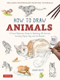 Front cover_How to Draw Animals