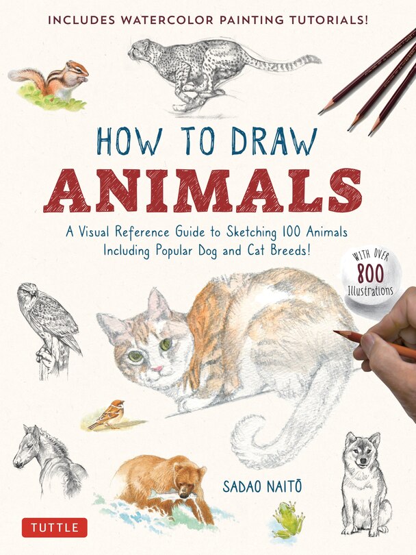 Front cover_How to Draw Animals