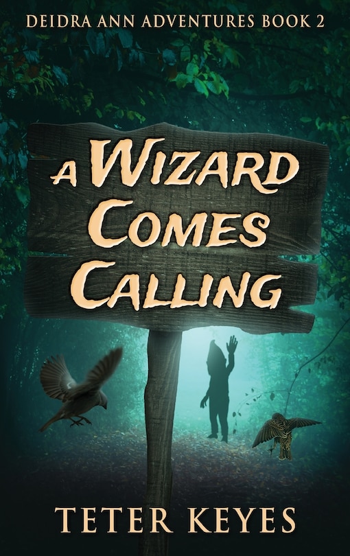 Front cover_A Wizard Comes Calling