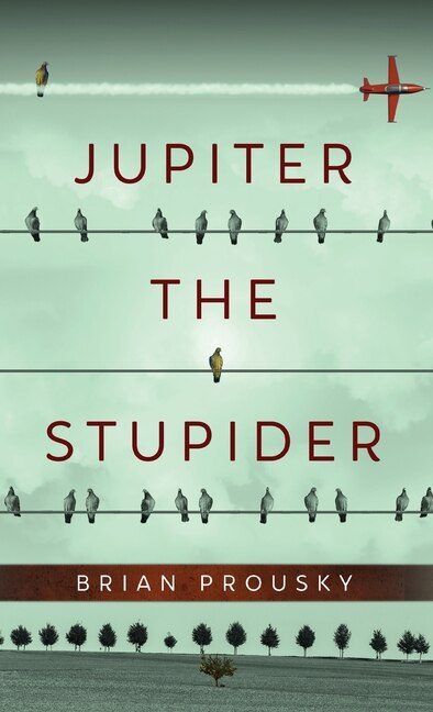 Front cover_Jupiter the Stupider