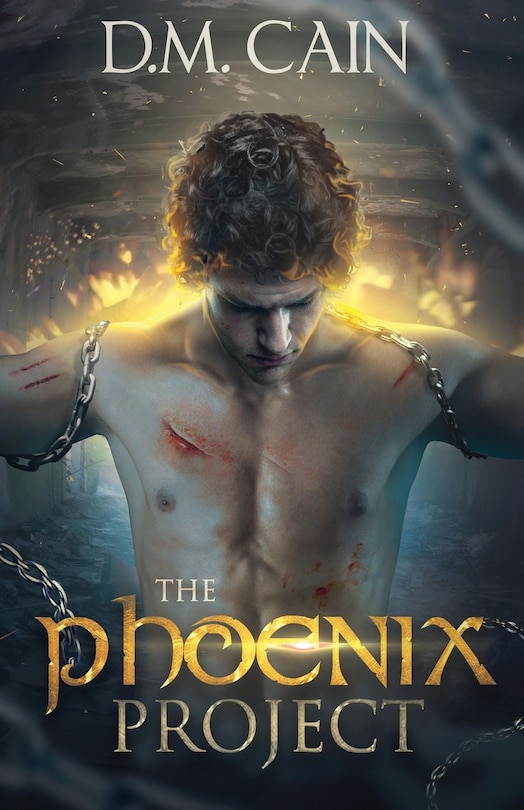 Couverture_The Phoenix Project