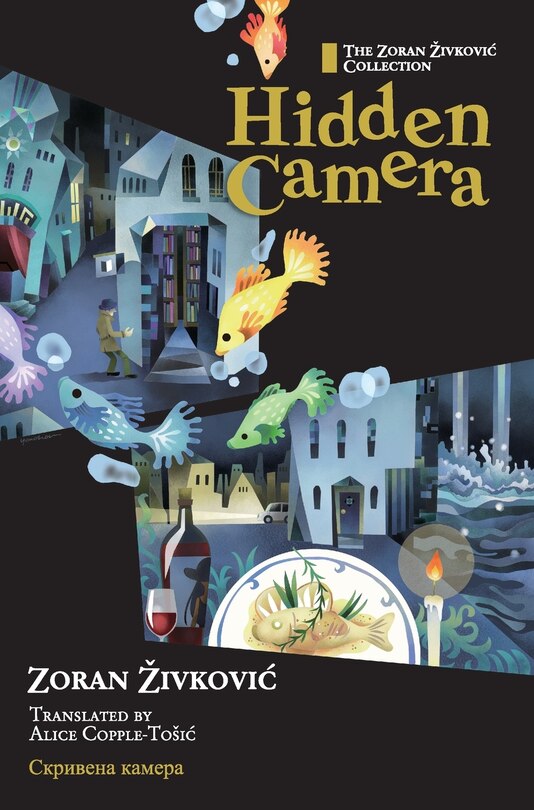 Couverture_Hidden Camera