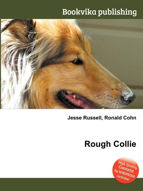 Rough Collie