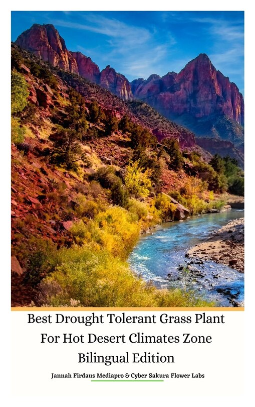 Front cover_Best Drought Tolerant Grass Plant For Hot Desert Climates Zone Bilingual Edition Hardcover Version